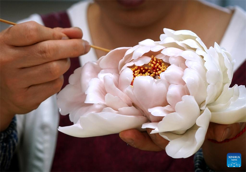 Henan : Luoyang développe la culture liée aux fleurs de pivoine